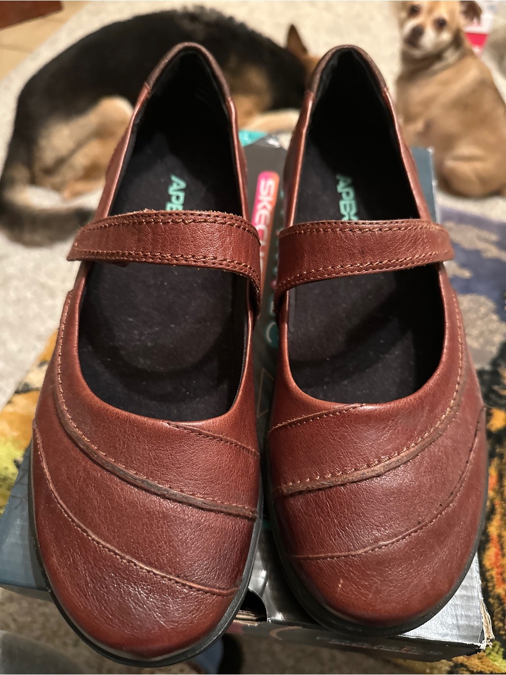 Skechers Brown Mary Jane Comfort Flats